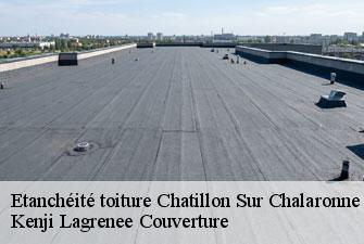 Etanchéité toiture chatillon-sur-chalaronne-01400 Kenji Lagrenee Couverture
