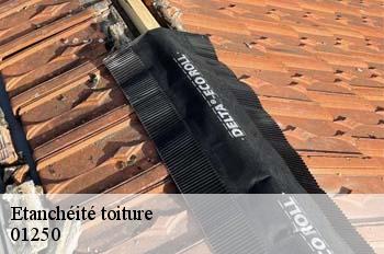Etanchéité toiture  chavannes-sur-suran-01250 