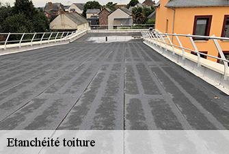 Etanchéité toiture  chavannes-sur-suran-01250 Renov Pro 01