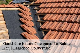 Etanchéité toiture  cheignieu-la-balme-01510 Kenji Lagrenee Couverture