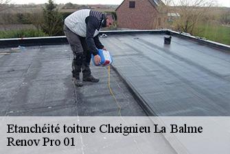 Etanchéité toiture  cheignieu-la-balme-01510 Renov Pro 01