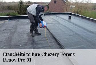 Etanchéité toiture  chezery-forens-01200 Renov Pro 01