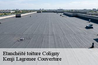 Etanchéité toiture  coligny-01270 Kenji Lagrenee Couverture