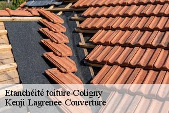Etanchéité toiture  coligny-01270 Kenji Lagrenee Couverture