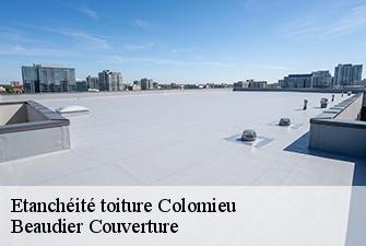 Etanchéité toiture  colomieu-01300 Beaudier Couverture 