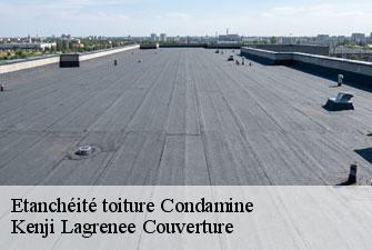 Etanchéité toiture condamine-01430 Kenji Lagrenee Couverture