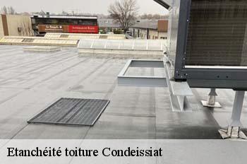 Etanchéité toiture  condeissiat-01400 