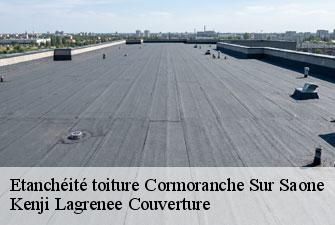 Etanchéité toiture  cormoranche-sur-saone-01290 Kenji Lagrenee Couverture