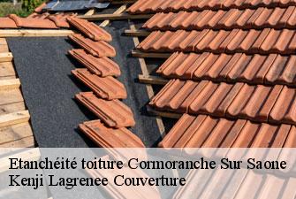 Etanchéité toiture  cormoranche-sur-saone-01290 Kenji Lagrenee Couverture