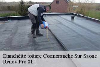 Etanchéité toiture  cormoranche-sur-saone-01290 Renov Pro 01