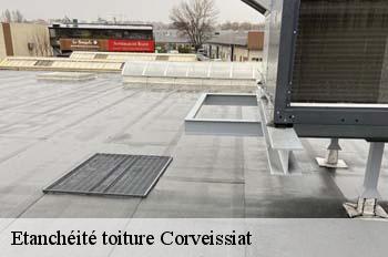 Etanchéité toiture  corveissiat-01250 