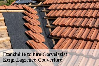 Etanchéité toiture  corveissiat-01250 Kenji Lagrenee Couverture