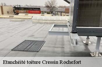 Etanchéité toiture  cressin-rochefort-01350 