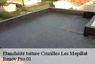 Etanchéité toiture  cruzilles-les-mepillat-01290 Renov Pro 01