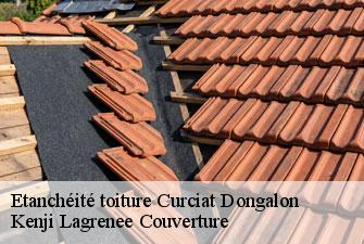 Etanchéité toiture  curciat-dongalon-01560 Kenji Lagrenee Couverture