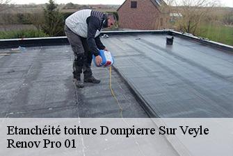 Etanchéité toiture  dompierre-sur-veyle-01240 Renov Pro 01