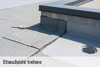 Etanchéité toiture  domsure-01270 Kenji Lagrenee Couverture