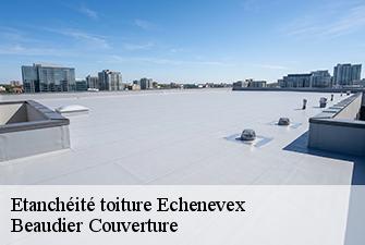 Etanchéité toiture  echenevex-01170 Beaudier Couverture 