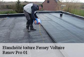 Etanchéité toiture  ferney-voltaire-01210 Renov Pro 01