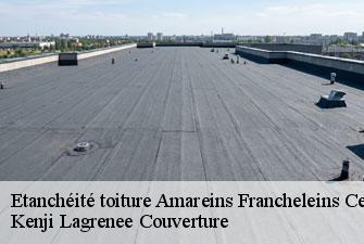 Etanchéité toiture  amareins-francheleins-cesseins-01090 Kenji Lagrenee Couverture