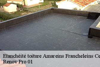 Etanchéité toiture  amareins-francheleins-cesseins-01090 Renov Pro 01