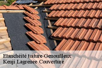 Etanchéité toiture  genouilleux-01090 Kenji Lagrenee Couverture