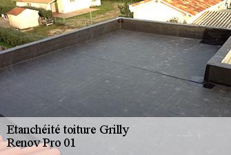 Etanchéité toiture  grilly-01220 Renov Pro 01