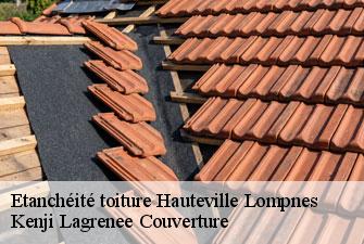 Etanchéité toiture hauteville-lompnes-01110 Kenji Lagrenee Couverture