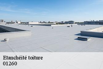 Etanchéité toiture  hotonnes-01260 Beaudier Couverture 