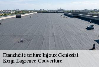 Etanchéité toiture injoux-genissiat-01200 Kenji Lagrenee Couverture