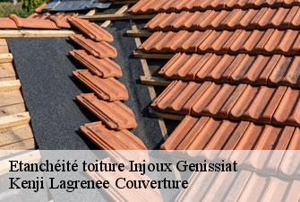 Etanchéité toiture injoux-genissiat-01200 Kenji Lagrenee Couverture