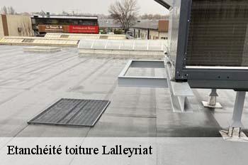 Etanchéité toiture  lalleyriat-01130 