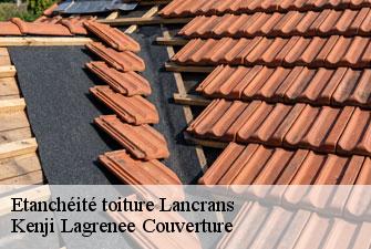 Etanchéité toiture lancrans-01200 Kenji Lagrenee Couverture