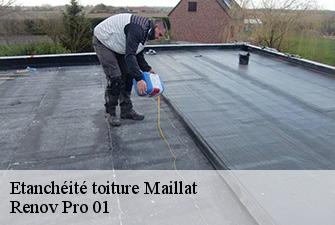 Etanchéité toiture  maillat-01430 Renov Pro 01