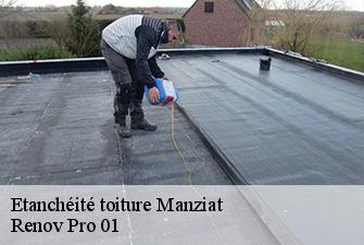 Etanchéité toiture  manziat-01570 Renov Pro 01