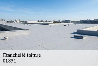 Etanchéité toiture  marboz-01851 Beaudier Couverture 