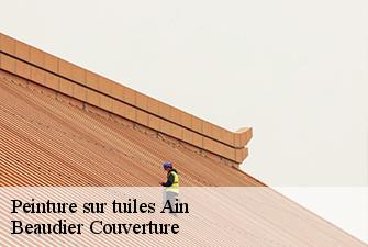 Peinture sur tuiles 01 Ain  Beaudier Couverture 