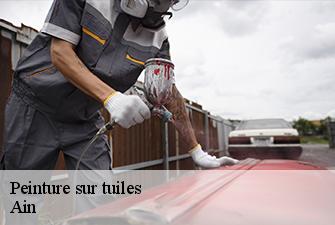 Peinture sur tuiles 01 Ain  Beaudier Couverture 
