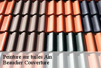 Peinture sur tuiles 01 Ain  Beaudier Couverture 