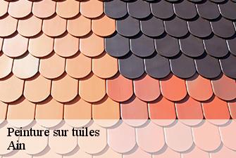 Peinture sur tuiles 01 Ain  Beaudier Couverture 