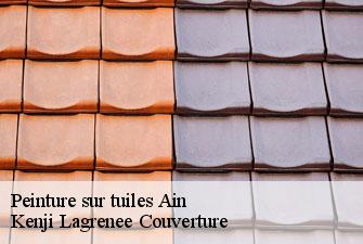 Peinture sur tuiles 01 Ain Kenji Lagrenee Couverture