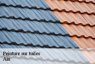 Peinture sur tuiles 01 Ain Kenji Lagrenee Couverture