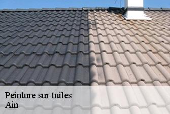 Peinture sur tuiles 01 Ain  Renov Pro 01