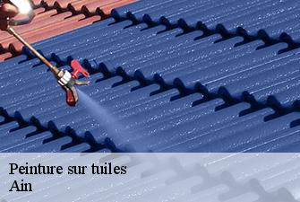 Peinture sur tuiles 01 Ain  Renov Pro 01