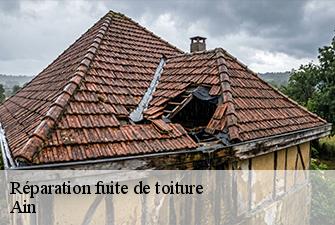 Réparation fuite de toiture 01 Ain  Beaudier Couverture 