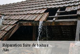 Réparation fuite de toiture 01 Ain  Kenji Lagrenee Couverture