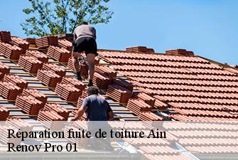 Réparation fuite de toiture 01 Ain  Renov Pro 01