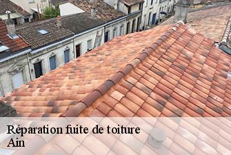 Réparation fuite de toiture 01 Ain  Renov Pro 01