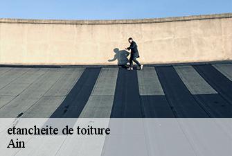etancheite de toiture 01 Ain  Beaudier Couverture 