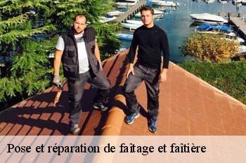 Pose et réparation de faîtage et faîtière 01 Ain  